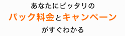 あなたにピッタリのパック料金とキャンペーンがすぐわかる。