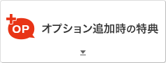 オプション追加時の特典