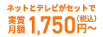 ネットとテレビがセットで月額3,900円(税抜)～