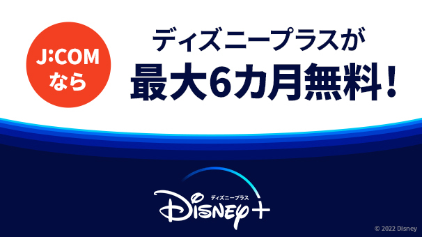 ディズニープラス最大6カ月無料