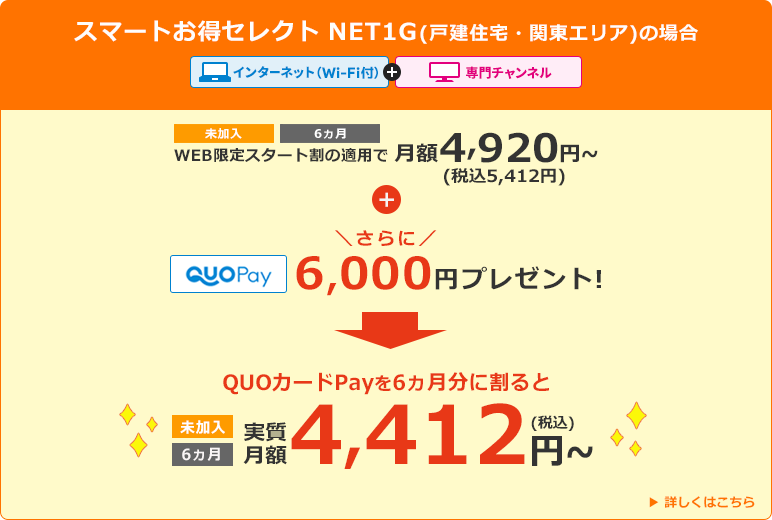 Web得 Quoカードpayプレゼント J Com