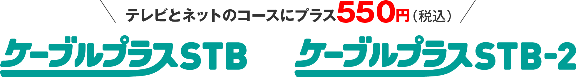 テレビとネットのコースにプラス500円　ケーブルプラスSTB　ケーブルプラスSTB-2