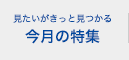 見たいがきっと見つかる 今月の特集