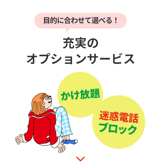 目的にあわせて選べる！ 充実のオプションサービス