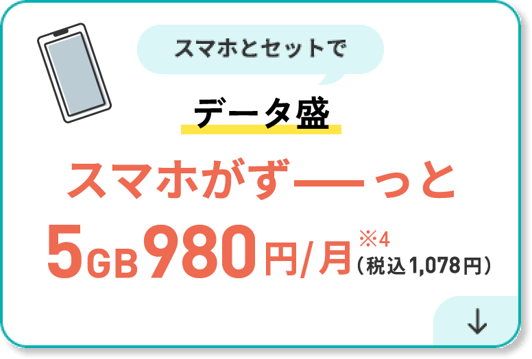 スマホとセットでデータ盛　スマホがず〜〜っと5GB 980円/月