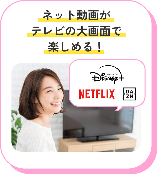 ネット動画がテレビの大画面で楽しめる！