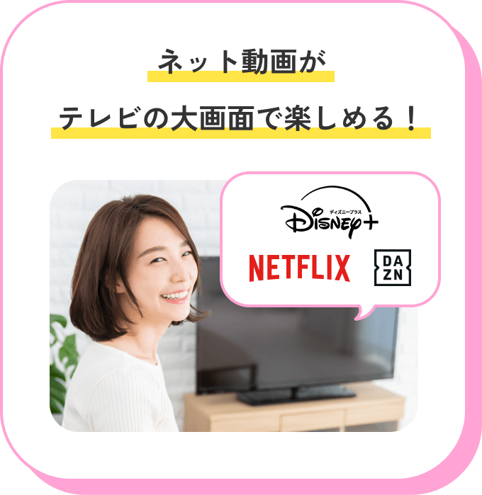 ネット動画がテレビの大画面で楽しめる！