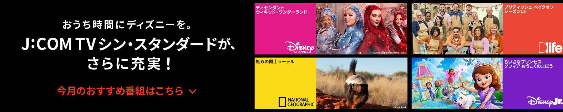 おうち時間にディズニーを。 J:COM TV シンスタンダードがさらに充実! 今月のおすすめ番組はこちら