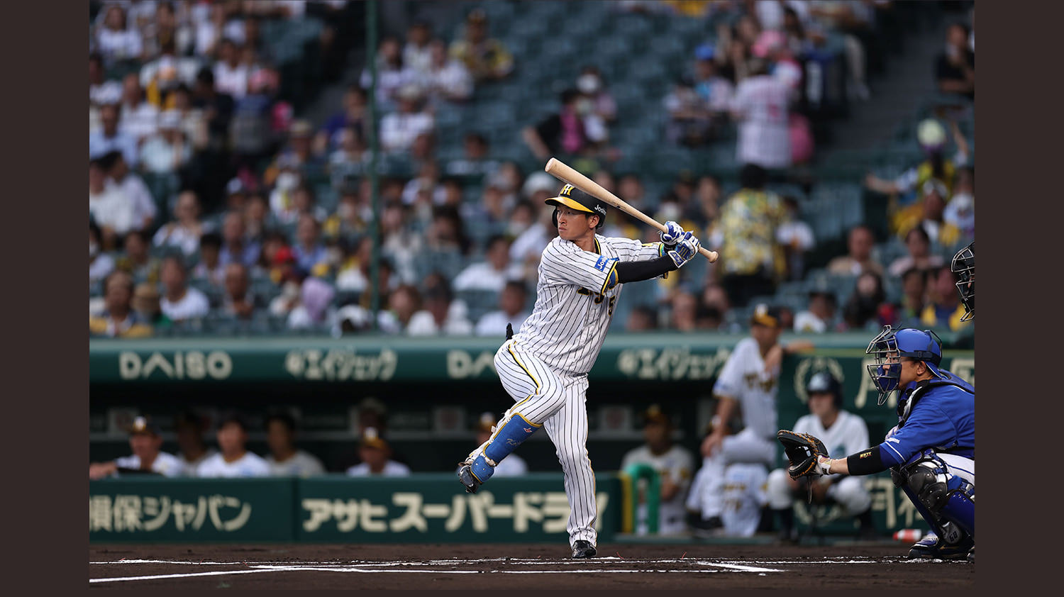 スカイＡスタジアム　阪神タイガース 公式戦