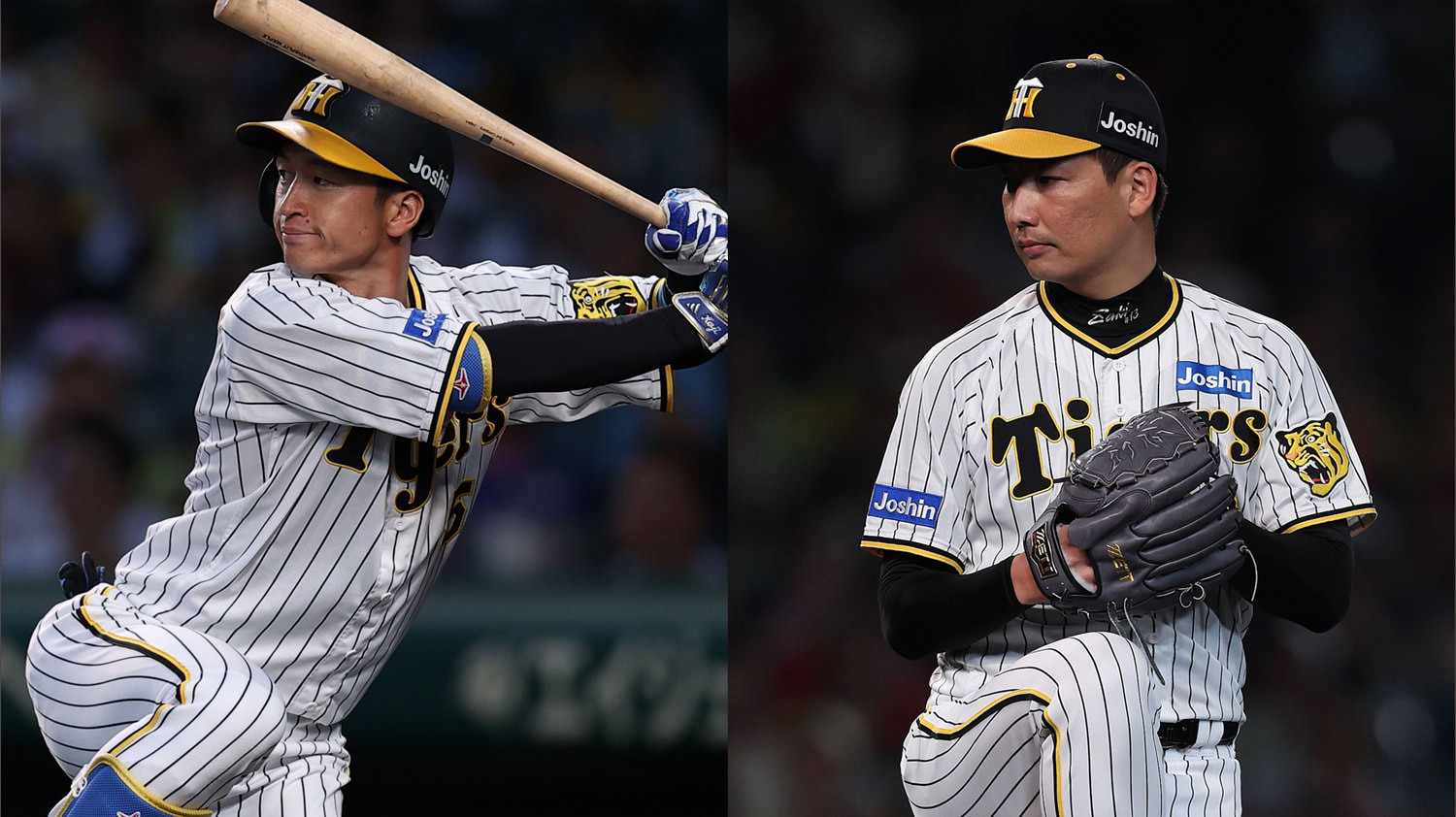GAORAプロ野球中継（タイガース）