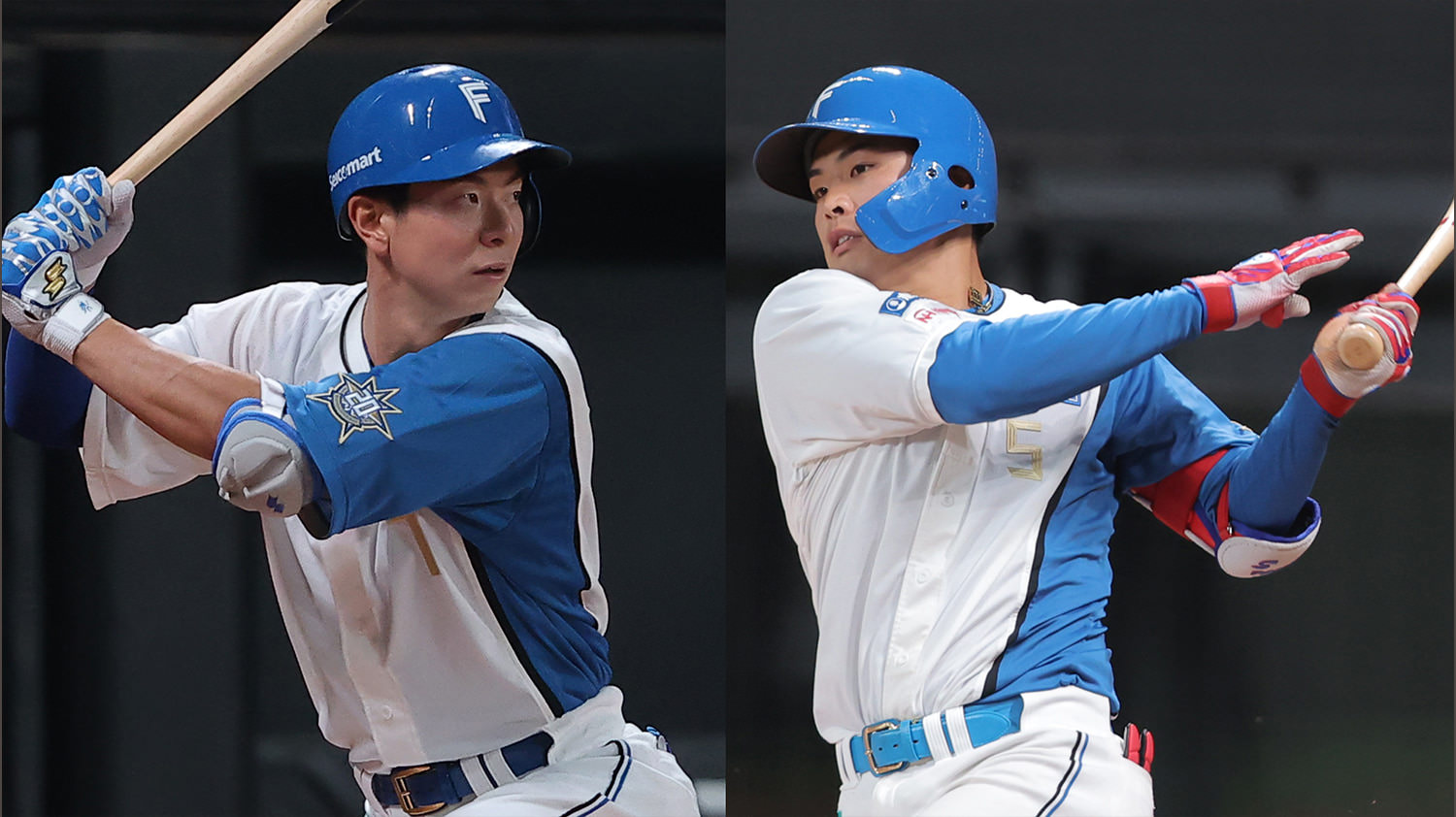 GAORAプロ野球中継（ファイターズ）
