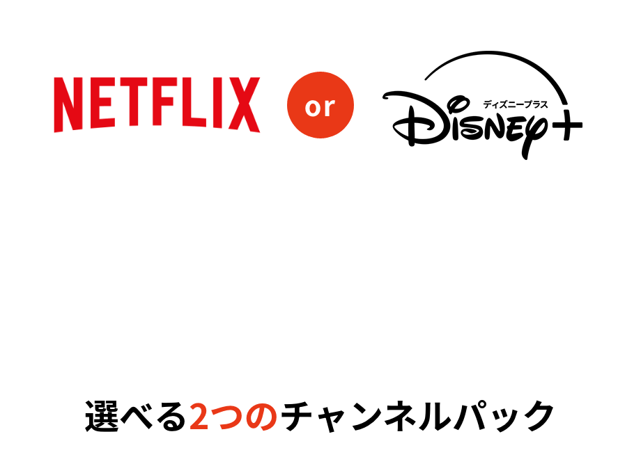 Netflix Disney+ 2 channel packs to choose from