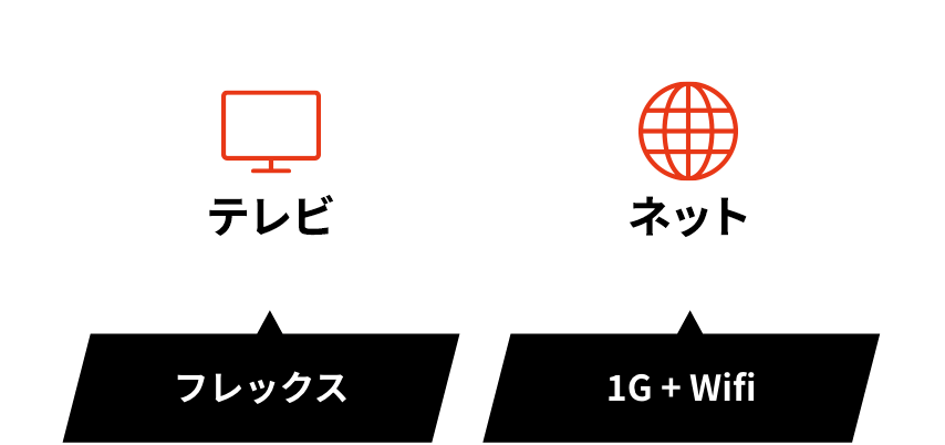 テレビ フレックス ネット 1G+Wifi