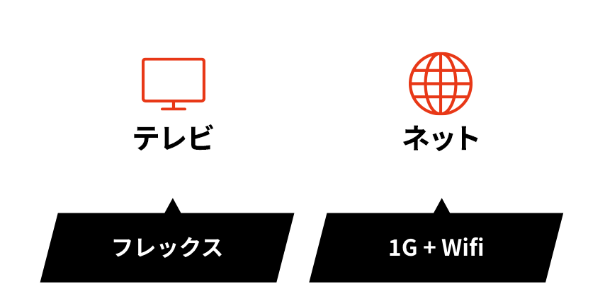 TV Flex Net 1G+Wifi