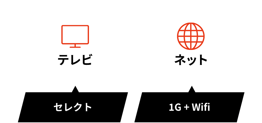 TV Select Net 1G+Wifi