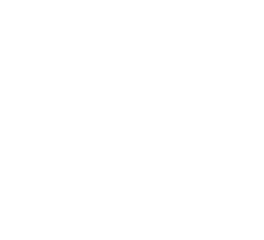 step 02