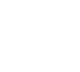 step 03