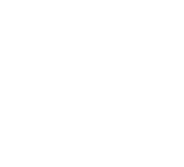 step 04