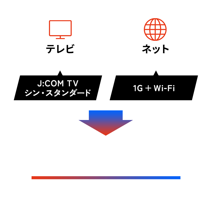 テレビ（シン・スタンダード）＋ネット（1G + Wi-Fi）