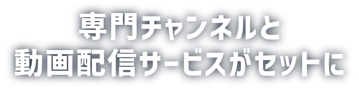 専門チャンネルと動画配信サービスがセットに