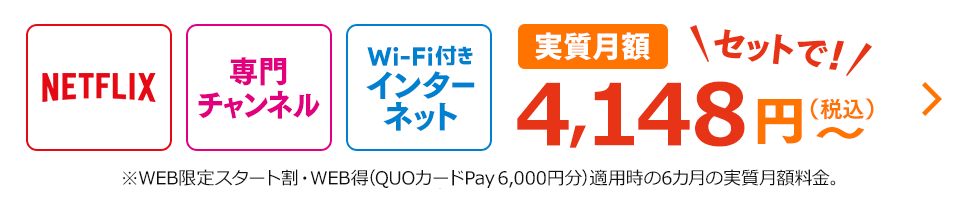 NETFLIX 専門チャンネル Wi-Fi付きインターネット 実質月額セットで！4,148円(税込) ※WEB限定スタート割・WEB得(QUOカードPay 6,000円分)適用時の6カ月の実質月額料金。