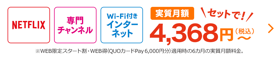 NETFLIX 専門チャンネル Wi-Fi付きインターネット 実質月額セットで！4,368円(税込) ※WEB限定スタート割・WEB得(QUOカードPay 6,000円分)適用時の6カ月の実質月額料金。