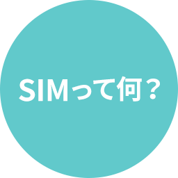SIMって何？