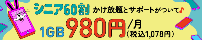 シニア60割