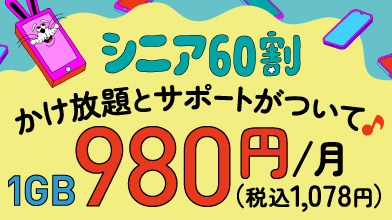シニア60割