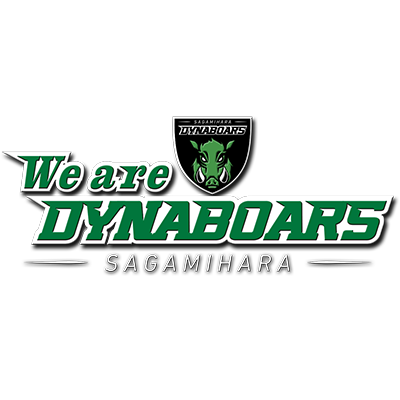 We are DYNABOARS！ 
