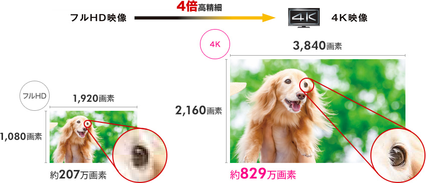 4K映像はフルHD映像の4倍高精細