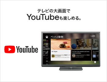 テレビの大画面でYouTubeも楽しめる。