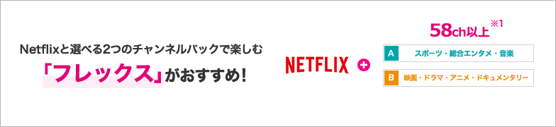 Netflixと選べる2つのチャンネルパックで楽しむ 「フレックス」がおすすめ! NETFLIX+ A スポーツ・総合エンタメ・音楽 58ch以上 B 映画・ドラマ・アニメ・ドキュメンタリー