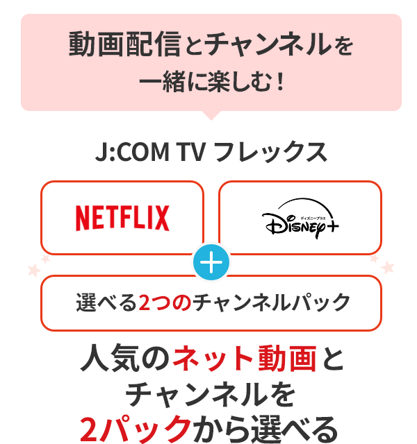 Escolha canais e vídeos da internet famosos a partir dos 2 pacotes J:COM TV Flex [Netflix] ou [Disney+]