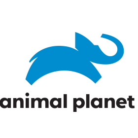 Animal Planet