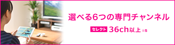 Neco 番組 表 チャンネル