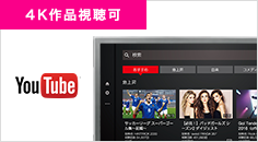 図:YouTubeを大画面で