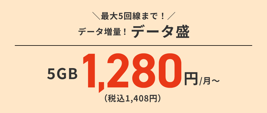 最大5回線まで！データ増量！データ盛