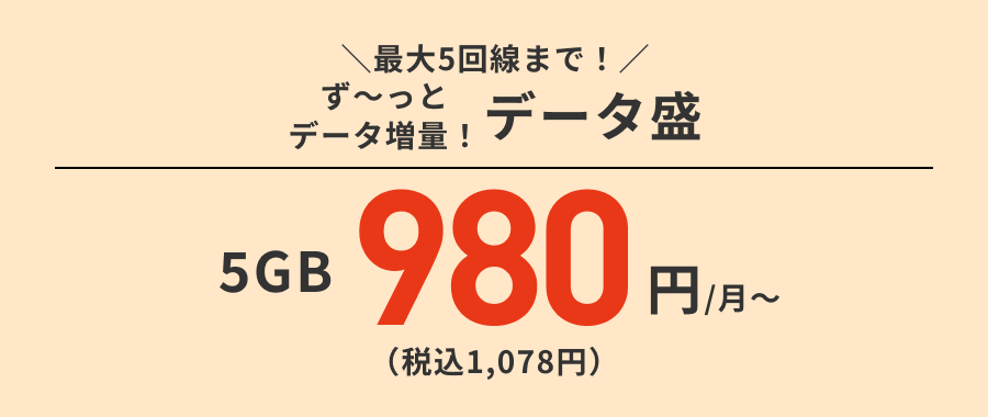 最大5回線まで！ず〜っとデータ増量！データ盛