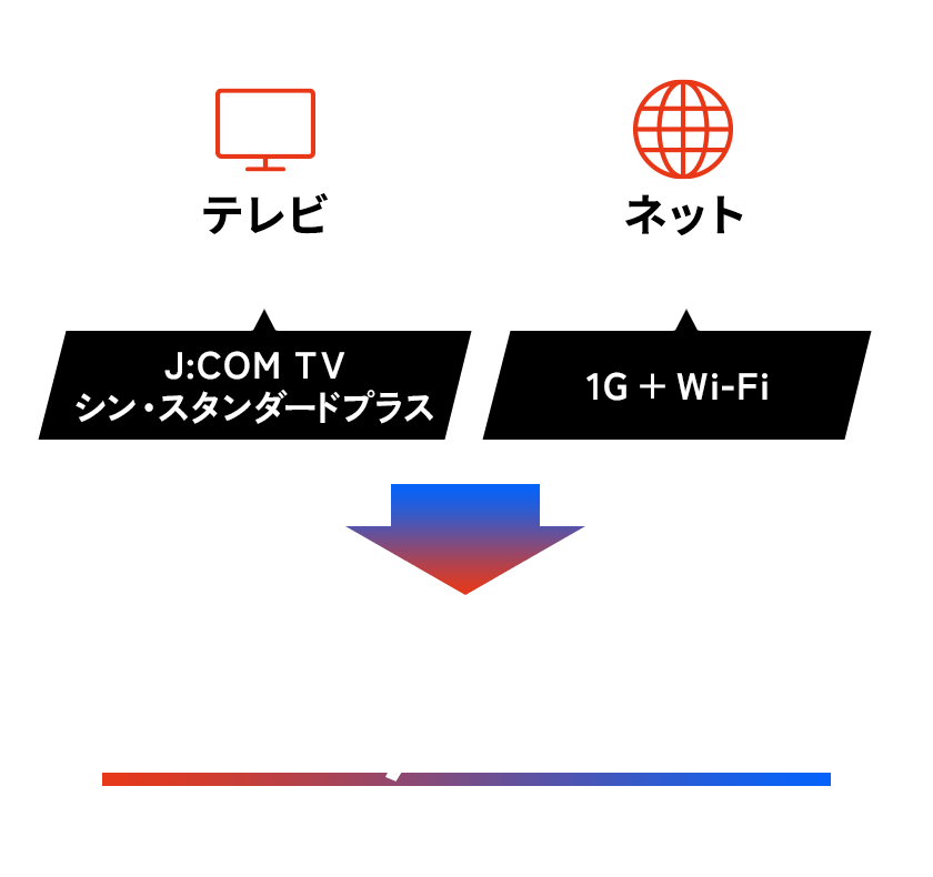 テレビ（シン・スタンダード）＋ネット（1G + Wi-Fi）