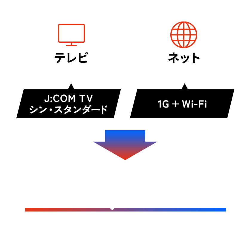テレビ（シン・スタンダード）＋ネット（1G + Wi-Fi）