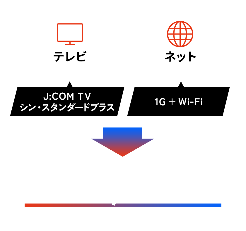 テレビ（シン・スタンダード）＋ネット（1G + Wi-Fi）
